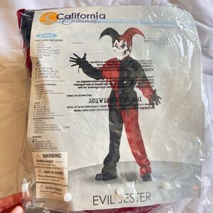 Kid's Evil Jester Costume